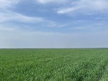 Аграрии в Волгоградской области готовятся к активной фазе весенней полевой кампании