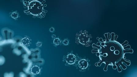 Эпидемиолог заявила, что коронавирусу комфортно при любой погоде