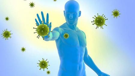 Раскрыт способ получить "сверхчеловеческий" иммунитет от коронавируса