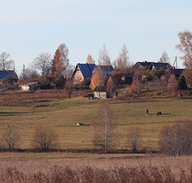 «Единая Россия» совместно с Правительством дорабатывает программу кадрового обеспечения сельских территорий