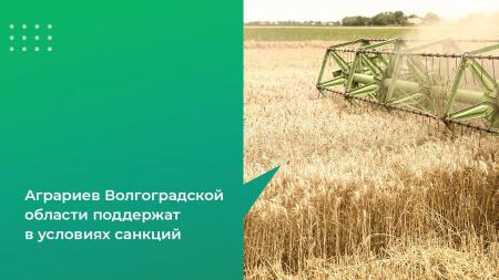 Аграриев Волгоградской области поддержат в условиях санкций