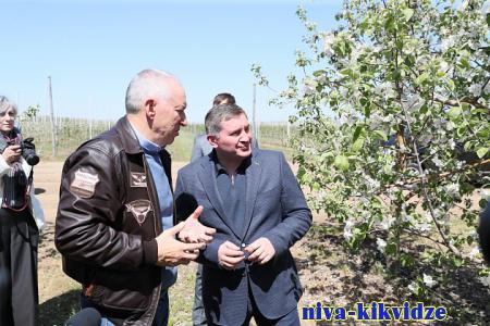 Санкции не помеха: Волгоградская область наращивает производство соков, яблок и немолока