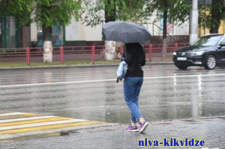 Мощный ветер и грозы с дождем ожидаются 13 мая в Волгоградской области