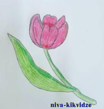 В Завязенской средней школе прошел экологический классный час «Гимн тюльпану»