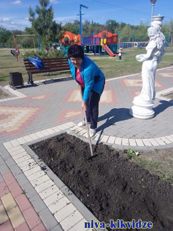 В хуторе Калиновском продолжаются работы по благоустройству парка
