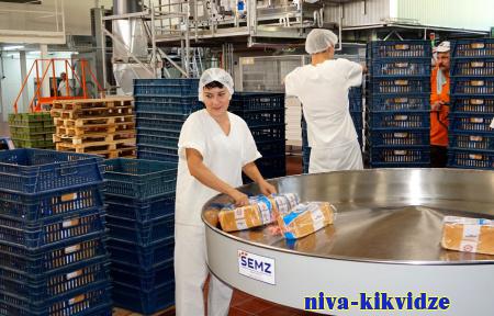 «Хлебнаш» намерен внедрить систему бережливого производства в рамках нацпроекта «Производительность труда»