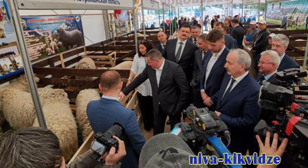 Минсельхоз РФ оценил достижения Волгоградской области в развитии племенного животноводства