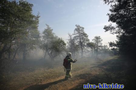МЧС объявило о 4-м классе горимости леса в Волгоградской области