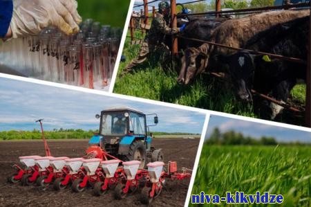 Волгоградское сельхозпредприятие успешно использует новые технологии