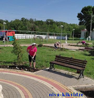 В хуторе Калиновском продолжаются работы по благоустройству парка
