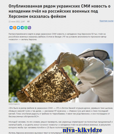 Фейк: Под Херсоном пчелы до смерти закусали троих российских военных