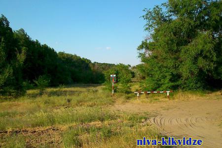 В Волгоградской области ограничение посещения лесов продлено до 21 июля