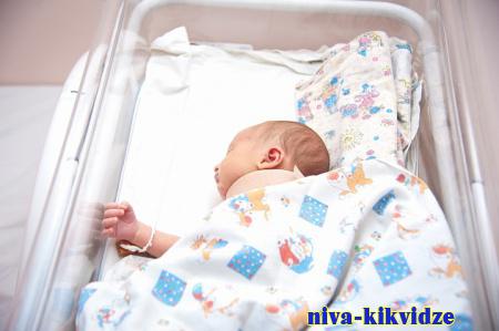 В Волгоградской области с начала года 192 малыша появились на свет благодаря ЭКО
