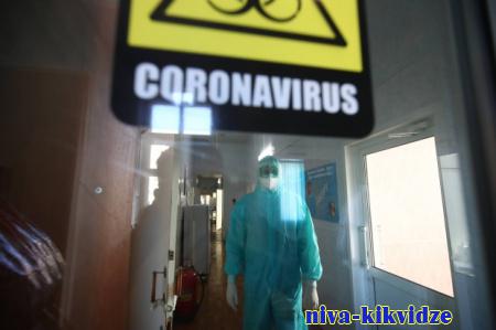 За сутки в Волгоградской области подтвердился 81 случай COVID-19