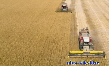 Есть 2 миллиона тонн: аграрии Волгоградской области продолжают уборку зерновых
