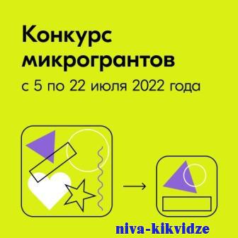 Молодежь региона может получить до 100 тысяч рублей в конкурсе микрогрантов от Росмолодежи