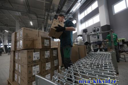 Выпуск импортозамещающей продукции в Волгоградской области вырос на 14%