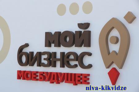 Молодые и социальные предприниматели Волгоградской области участвуют в конкурсе грантов