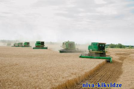 Урожай-2022: волгоградские аграрии преодолели планку в 4 млн тонн зерна
