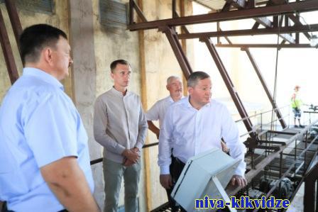 5 млн тонн: Волгоградская область перевыполнила план по сбору зерна