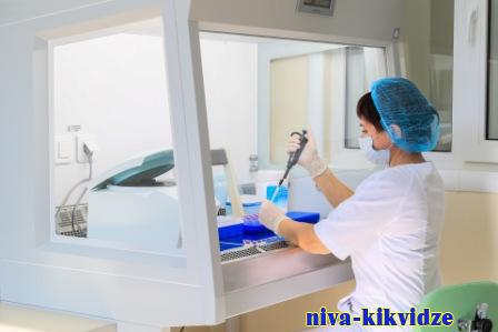 До 6500 исследований в сутки: новая мощная государственная лаборатория создана в Волгоградской области