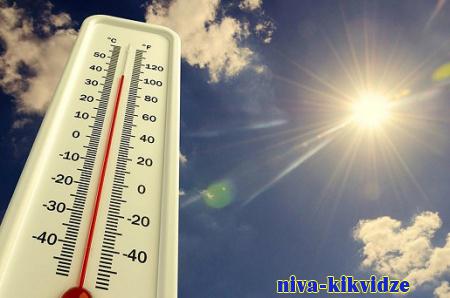 В Волгоградскую область придет аномальная жара до +42 градусов
