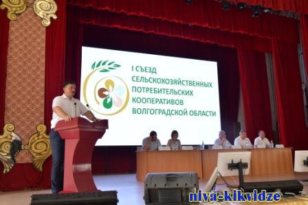 В Волгоградской области состоялся первый съезд сельхозкооперативов