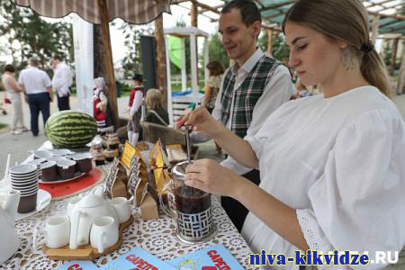 Фестивали, туры и экскурсии пройдут в Волгоградской области осенью