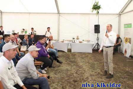 В Киквидзенском районе компания "Lidea" провела День поля
