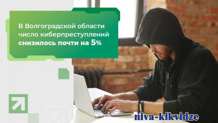 В Волгоградской области число киберпреступлений снизилось почти на 5%