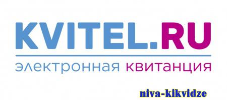 Цифровая практика Волгоградской области номинирована в федеральном конкурсе IT проектов «Народное признание»