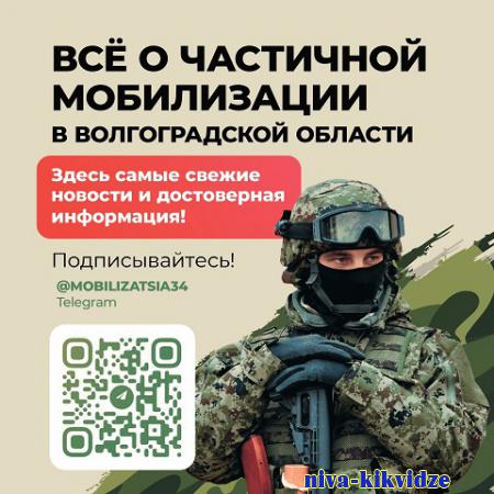 Проводить вторую фильтрацию мобилизованных в Волгоградской области помогает бот в Telegram