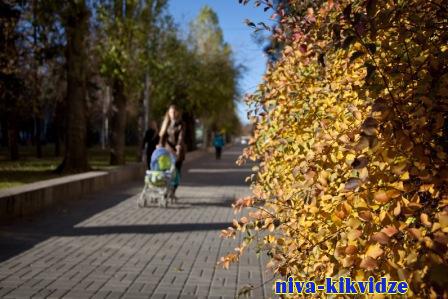 В Волгоградской области для семей с детьми в 2023 году появится единое универсальное пособие