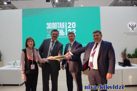 «Золотая осень – 2022»: в Волгоградской области в рамках трехстороннего соглашения создадут участки гибридизации подсолнечника