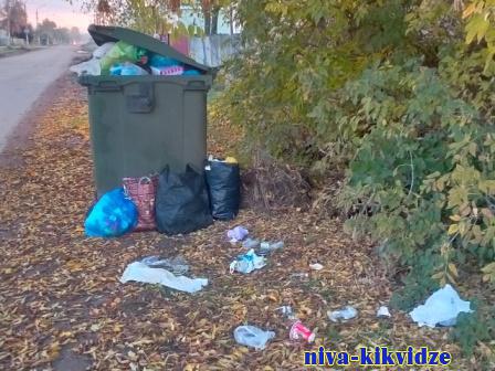 На злобу дня: мусорные свалки возле мусорного контейнера