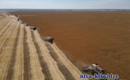 В Волгоградской области произошло укрупнение сельхозорганизаций