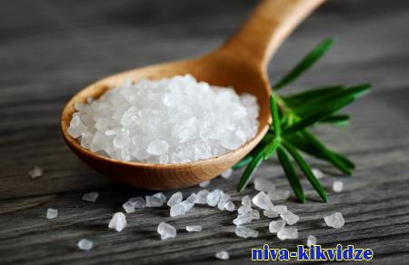 31 октября - 6 ноября - Неделя снижения потребления поваренной соли
