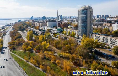 В Волгоградской области снижается неформальная занятость
