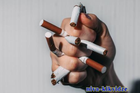 Волгоградский Роспотребнадзор добился блокировки 4 сайтов по продаже табака