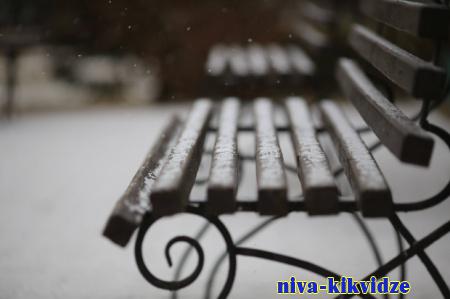 Морозы до -12 ожидаются в Волгоградской области в конце ноября