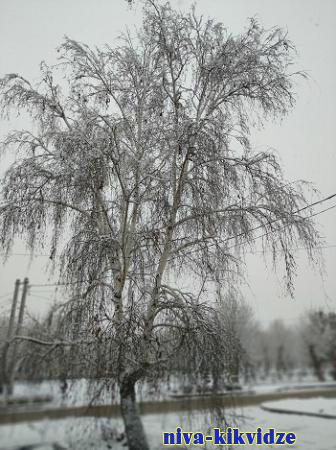 В Волгограде до – 18 морозы продержатся три дня