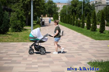 В Волгоградской области начинают выплачивать единое пособие на детей
