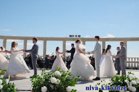В Волгоградской области в 2022 году произошел свадебный бум