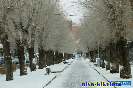 27-градусные морозы прогнозируют синоптики в Волгоградской области