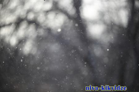 Снег и потепление ожидаются в Волгоградской области в конце января