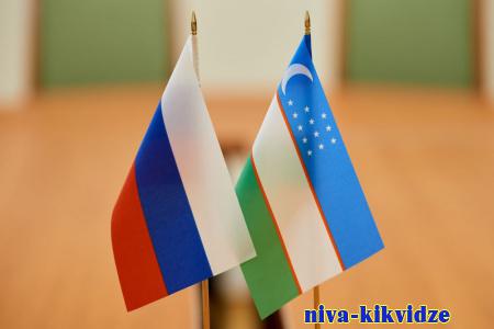 Волгоградская область развивает сотрудничество с регионами Узбекистана