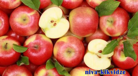 Польза печёных яблок