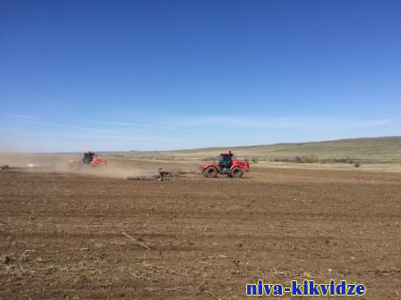Аграрии всех районов Волгоградской области приступили к весенним полевым работам