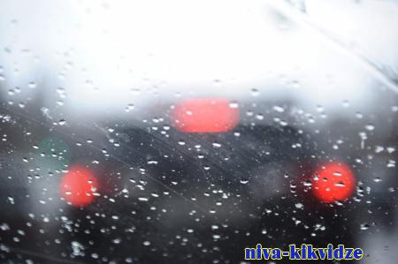 Дождь и заморозки до -1 ожидаются в Волгоградской области 12 апреля