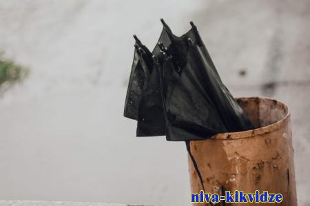 Дождь, снег, ветер и заморозки до -5 ожидаются в Волгоградской области